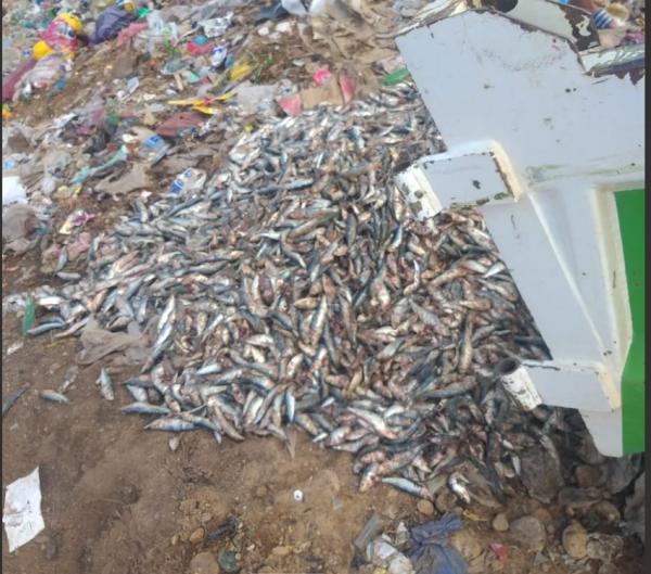 السلطات تشن حملة مراقبة واسعة وتحجز أزيد من نصف طن من اللحوم والأسماك الفاسدة الموجهة إلى بطون المواطنين